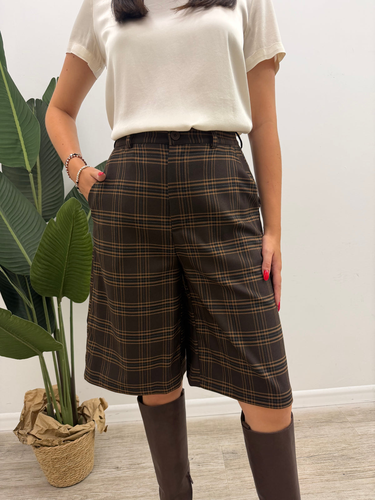 Haveone - Bermuda Check