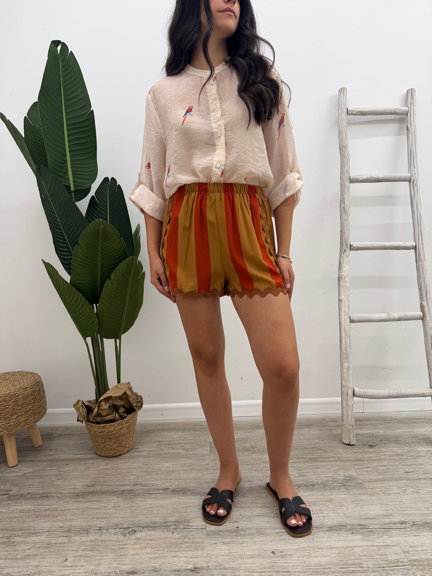 Haveone - Shorts Riga Onde