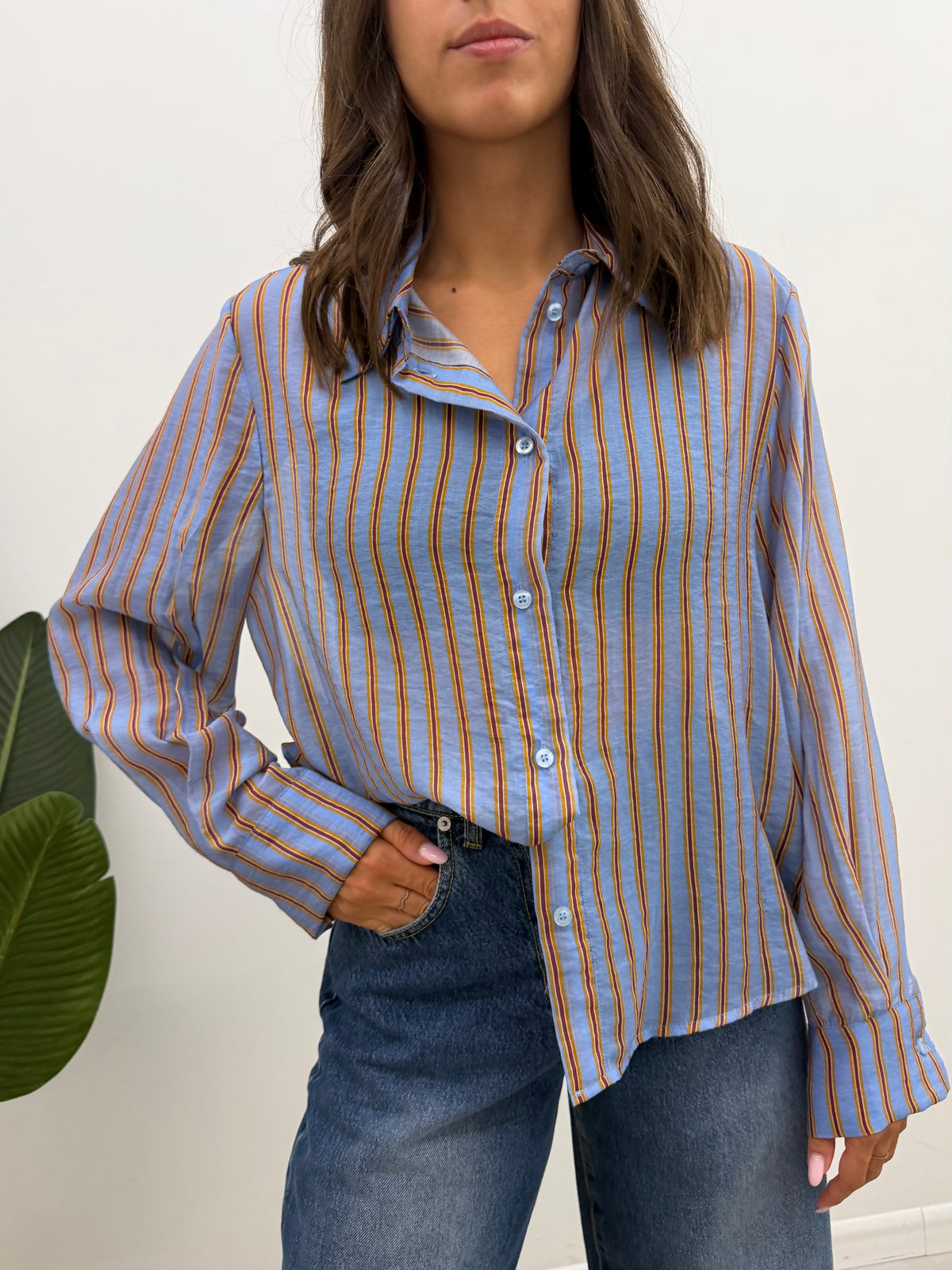 Haveone - Camicia Riga Celeste