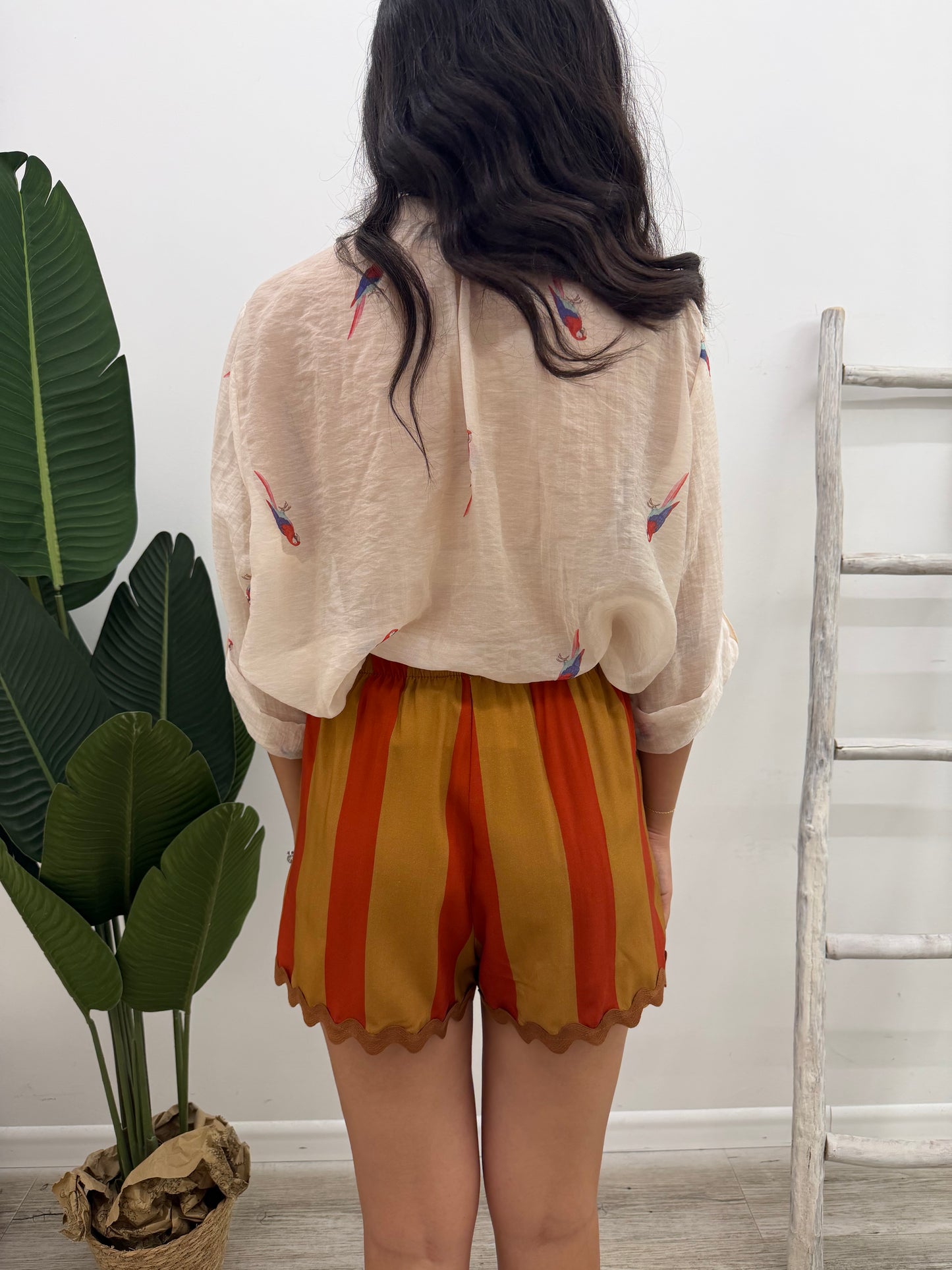 Haveone - Shorts Riga Onde