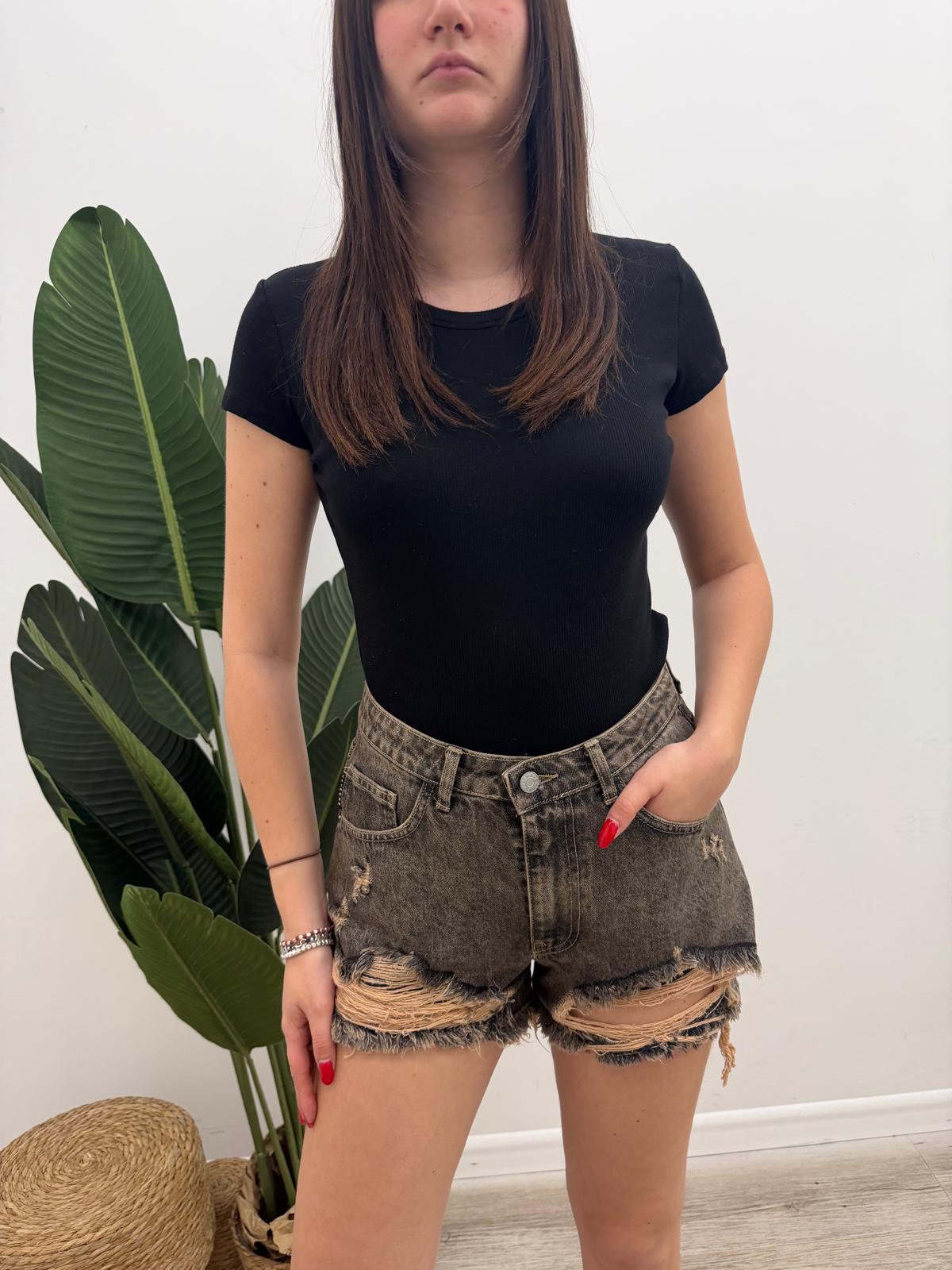Haveone - Shorts Destroyed Ash